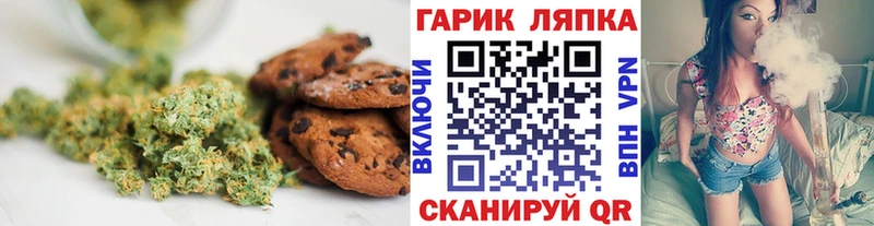 Купить закладки  Болохово  Cannafood конопля 