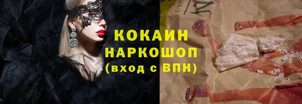крисы Богородицк