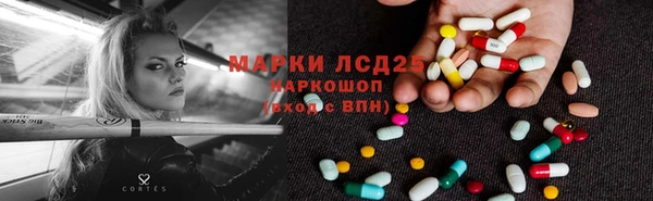 крисы Богородицк