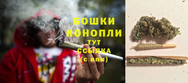 крисы Богородицк