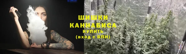 крисы Богородицк