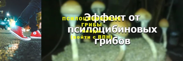 скорость Богородск