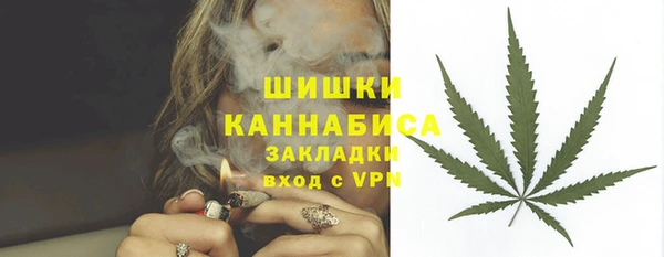крисы Богородицк
