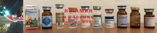 крисы Богородицк