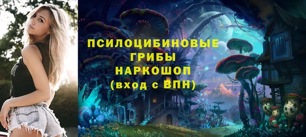 соль ск Богданович