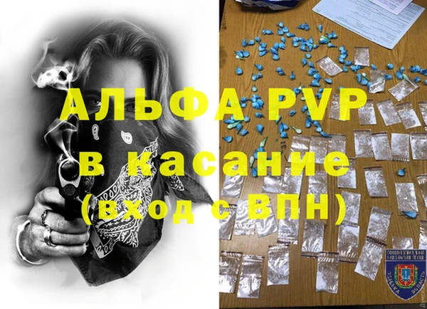 крисы Богородицк