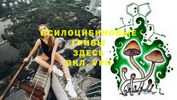 крисы Богородицк