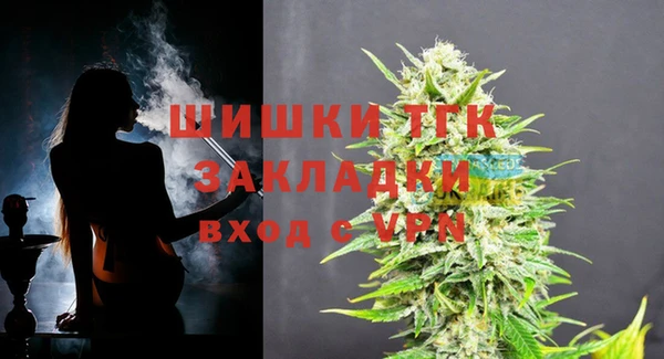 крисы Богородицк