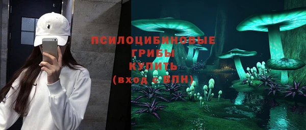 соль ск Богданович
