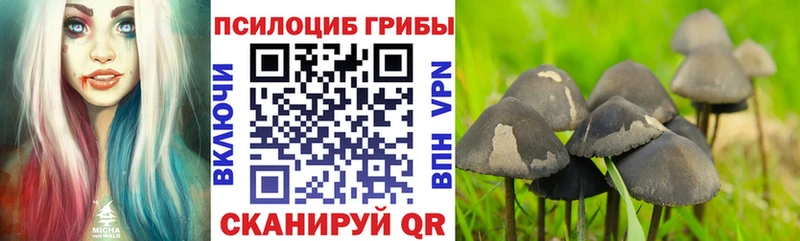 Купить  Болохово  Галлюциногенные грибы мухоморы 
